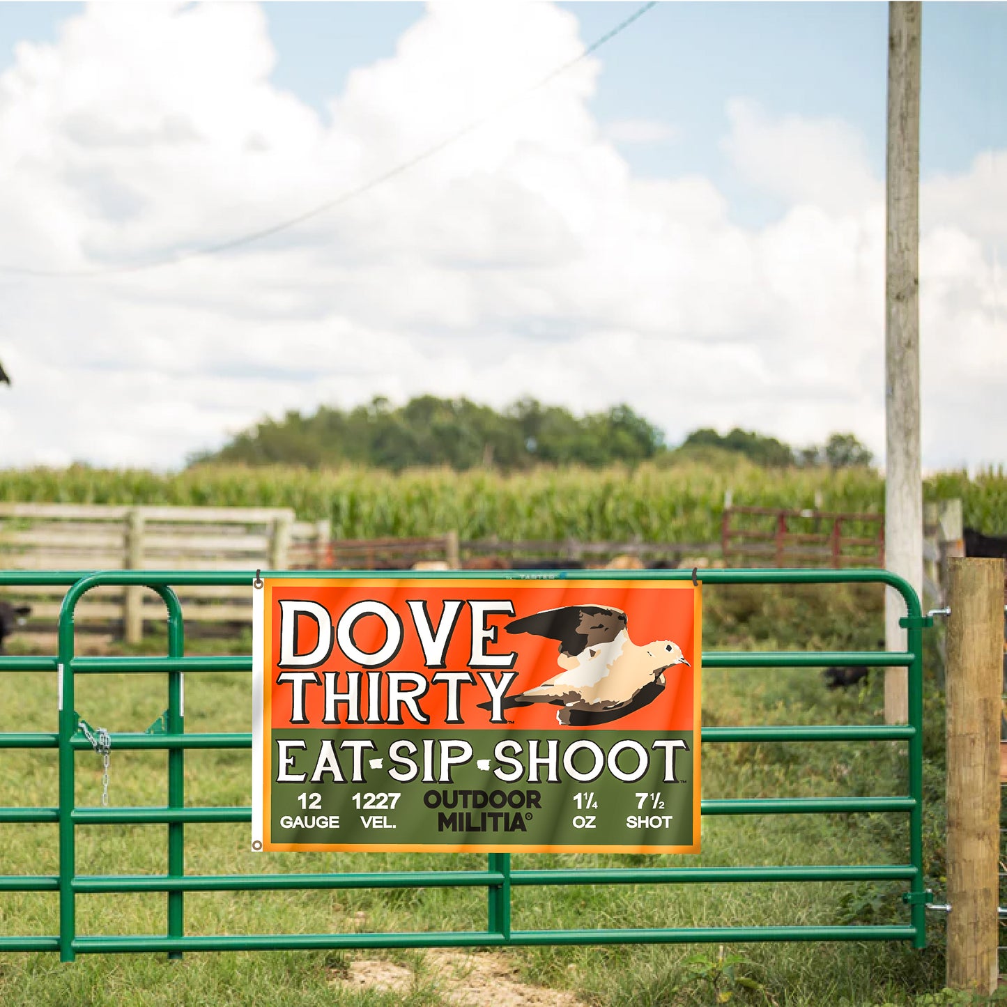 DOVE THIRTY | FLAG